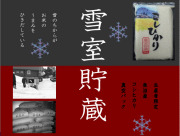 ʿ��20ǯ�ٵ��»������ҥ����㼼��¢�������ѥå��ƣ����