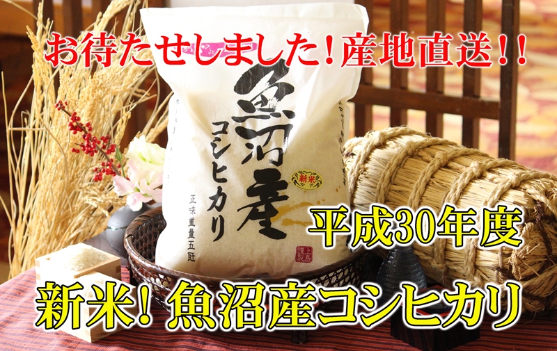 トップ用_平成30年新米コシヒカリ